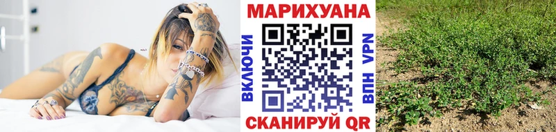 Каннабис OG Kush  наркота  Шали 